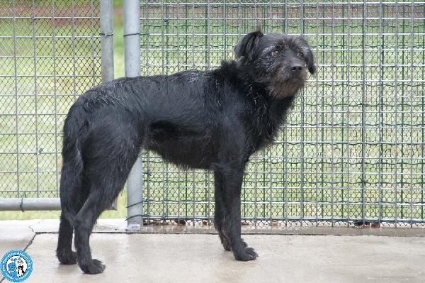 Greta, l’amore vero arriva piano.. Foto 4